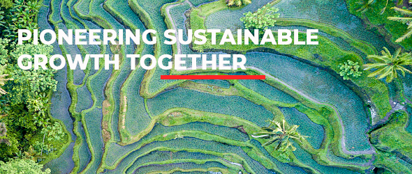 PARTNER_LISTING_BANNER