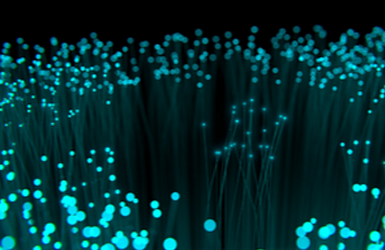 PARTNER_LISTING_BANNER