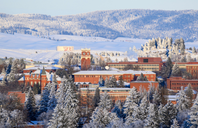 PARTNER_LISTING_BANNER