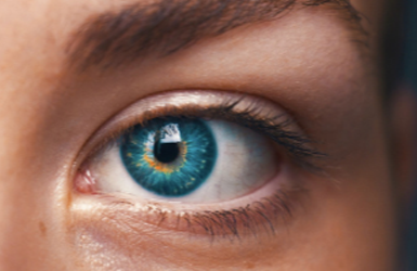 PARTNER_LISTING_BANNER