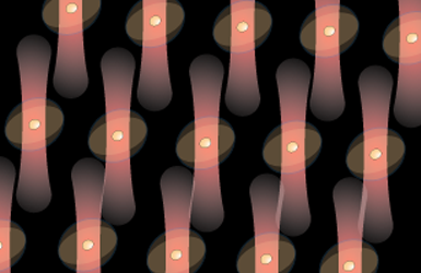 PARTNER_LISTING_BANNER