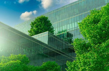 PARTNER_LISTING_BANNER