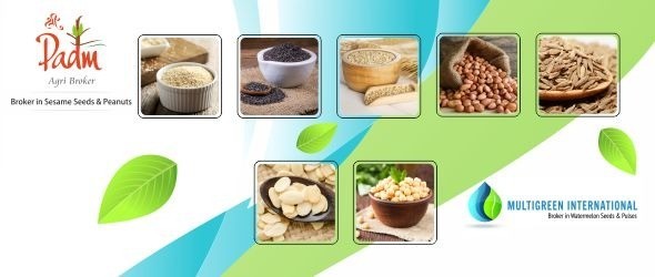 PARTNER_LISTING_BANNER