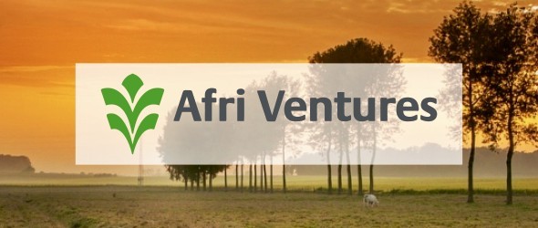 PARTNER_LISTING_BANNER