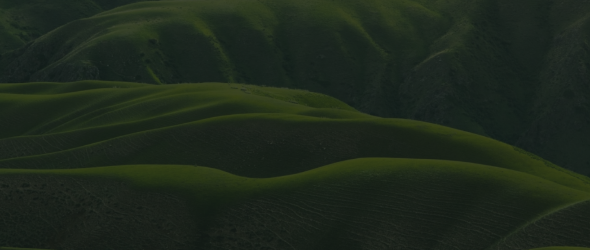 PARTNER_LISTING_BANNER