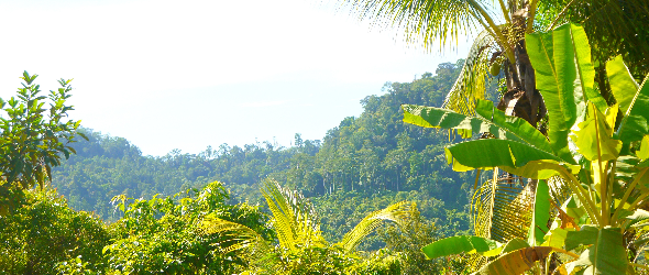 PARTNER_LISTING_BANNER
