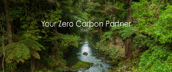 PARTNER_LISTING_BANNER