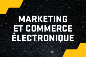 Marketing et commerce électronique