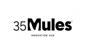 35 Mules