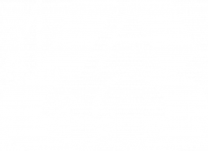 N/A & Co