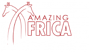 Amazing Africa