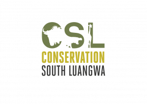Conservation South Luangwa