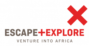 Escape + Explore