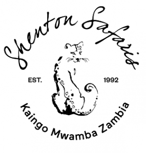 Shenton Safaris