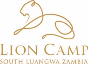 Lion Camp