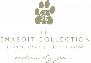 The Enasoit Collection