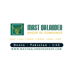 Mast Qalander Group