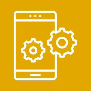 Dirección e Ingeniería de Software