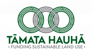 Tāmata Hauhā