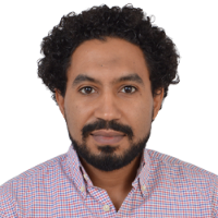 Ahmed Shawki