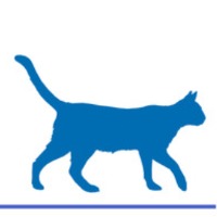 Organizing Team